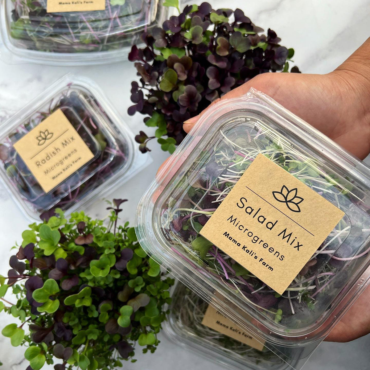 MAMA KALI SPROUTED PEA SHOOTS 50G