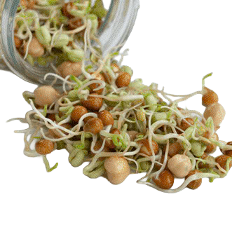 SUPER LITTLE GREENS CHUNKY MIX SPROUTS 200G
