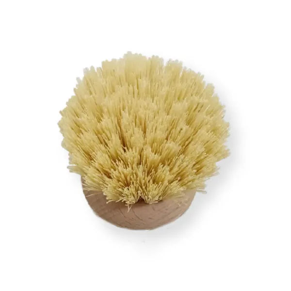 FLORENCE REPLACEMENT BRUSH HEAD TAMPICO 50MM