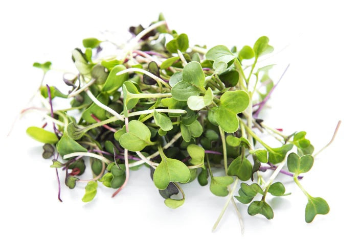 SUPER LITTLE GREENS MICRO MIX SPROUTS 60G