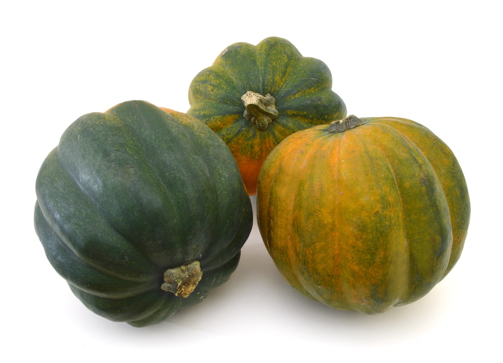 SQUASH SUPERMARKET ORGANIC 1KG