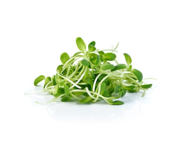 SUPER LITTLE GREENS SUNFLOWER SHOOTS 70G