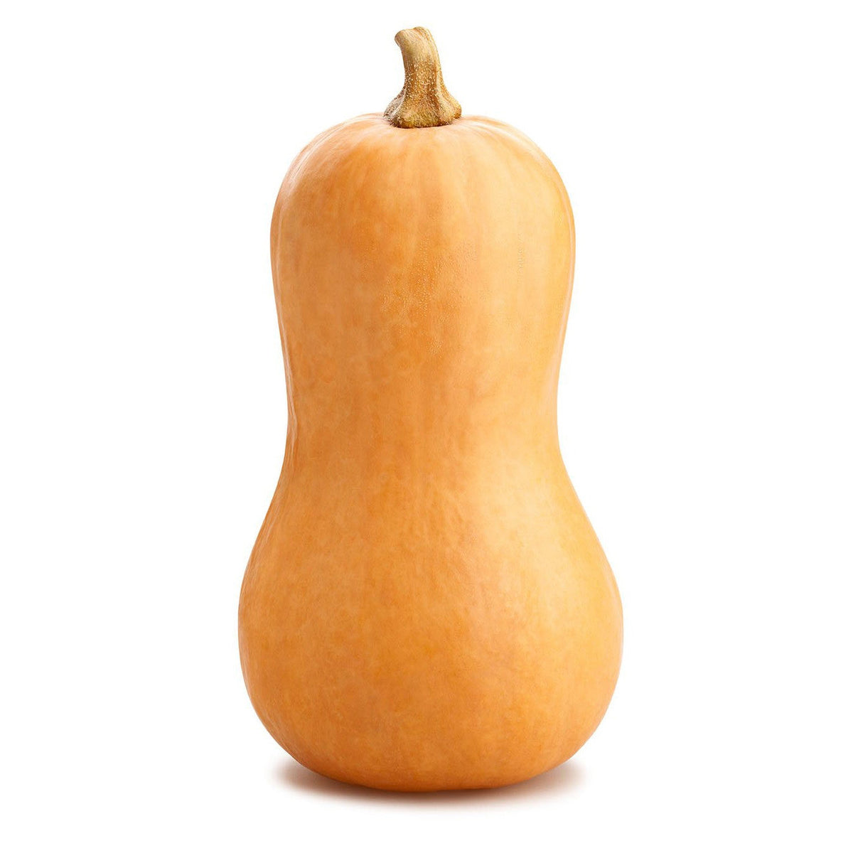 SQUASH BUTTERNUT ORGANIC 1KG