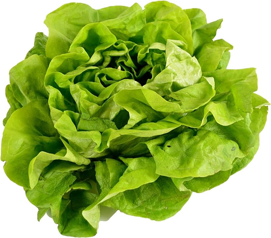 LETTUCE LOCAL SPRAY-FREE EACH
