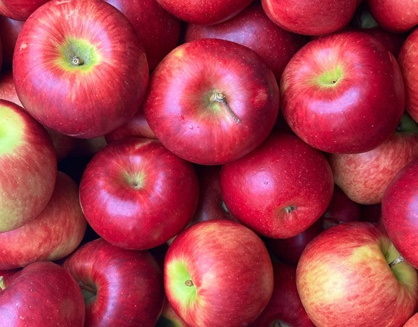 APPLE ORA ORGANIC 1KG