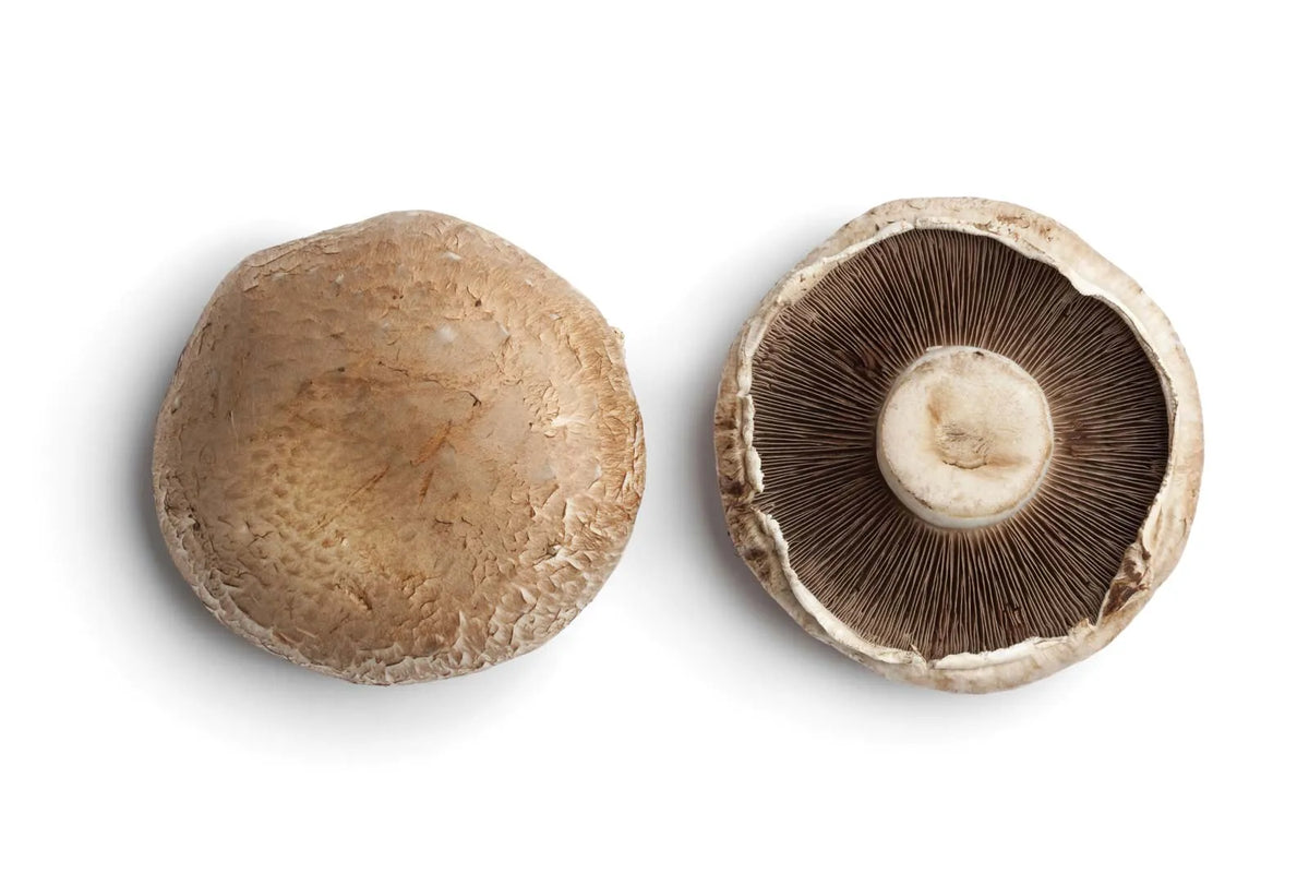 MUSHROOM PORTABELLO 1KG