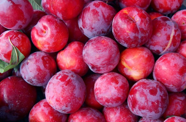 PLUMS RED FLESH-