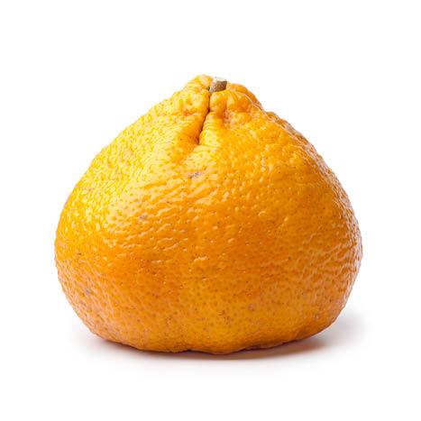 UGLI FRUIT SPRAY FREE 1KG