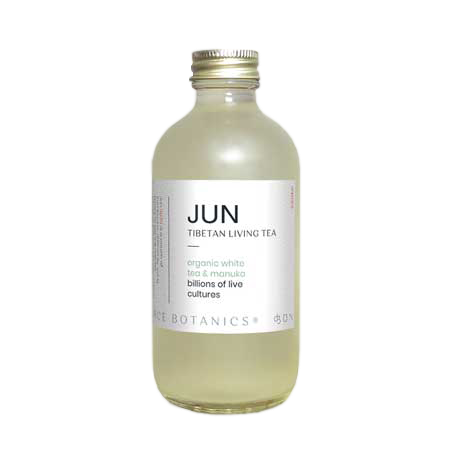 SOURCE BOTANICS JUN DRINK 300ML