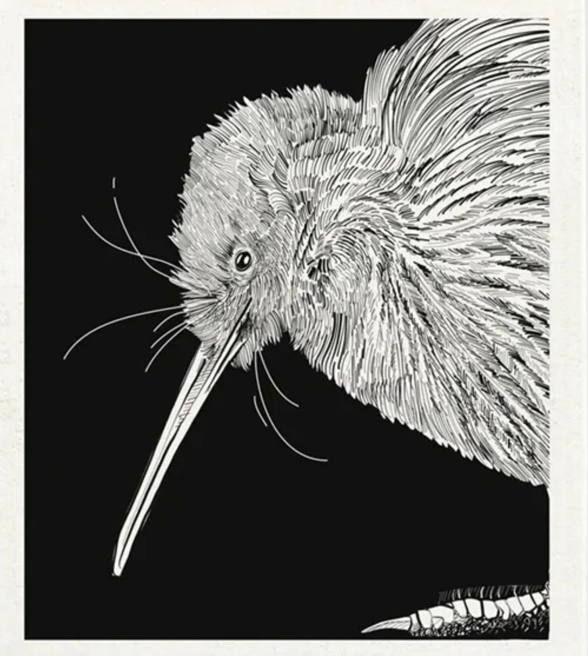 RO FLORENCE KIWI DISH CLOTH***