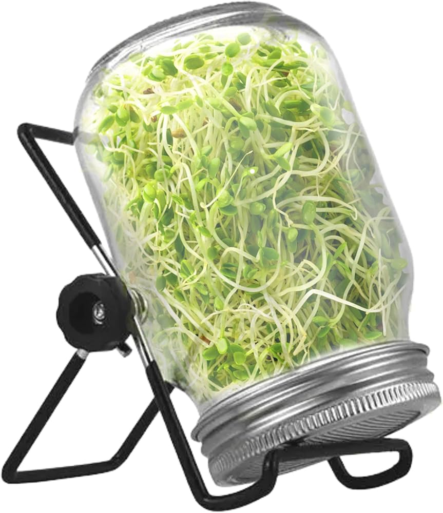 SUPER LITTLE GREENS SPROUTING STAND FOR JAR