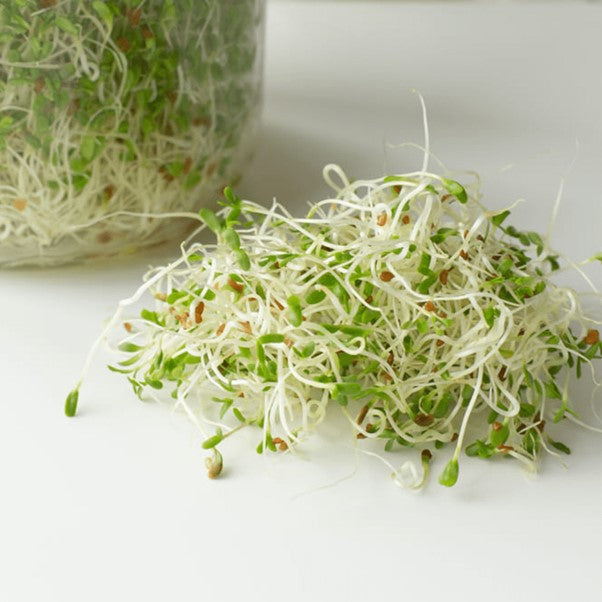 SUPER LITTLE GREENS ALFALFA SPROUTS 75G