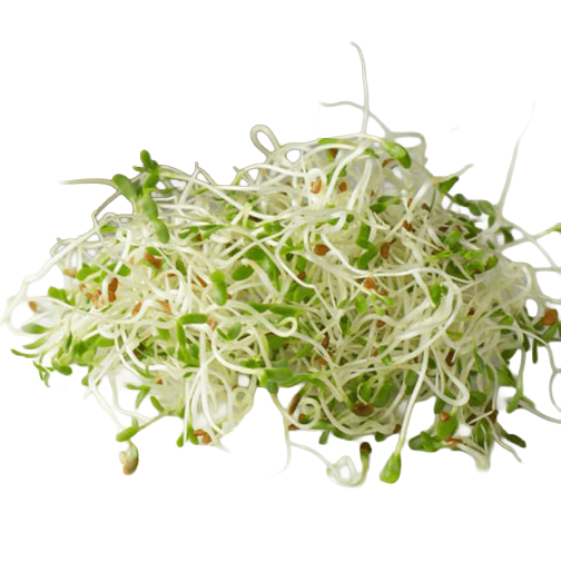 SUPER LITTLE GREENS ALFALFA SPROUTS 75G