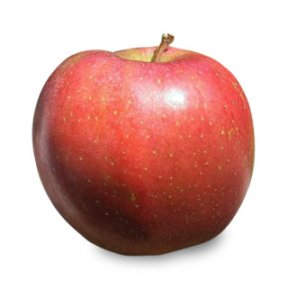 APPLE SPLENDOR ORGANIC 1KG