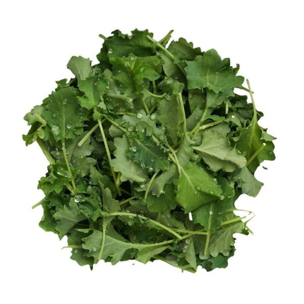 BABY ORGANIC KALE 100G BAG
