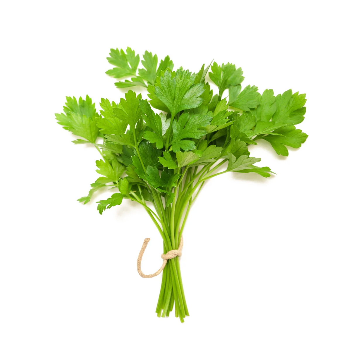 CORIANDER CERTIFIED ORGANIC BAGGED 50G