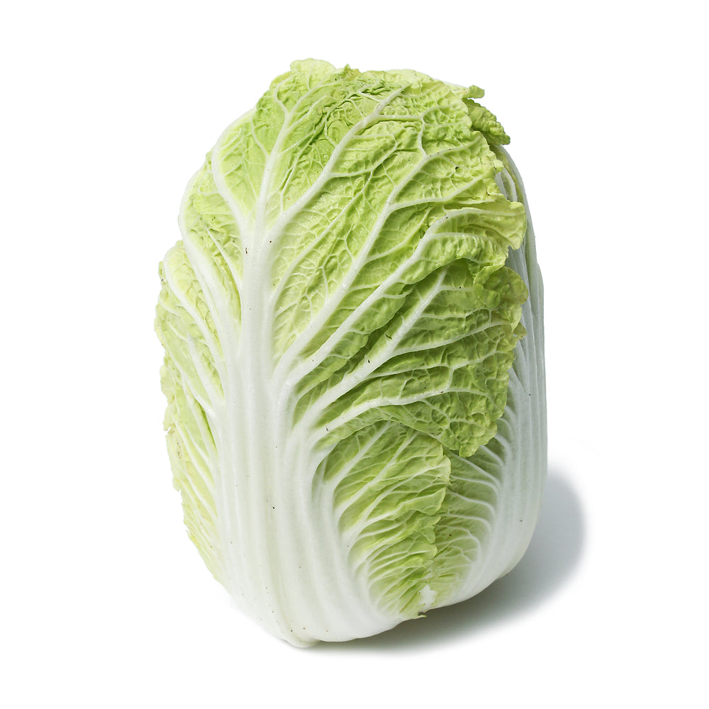 CABBAGE WONGBOK ORGANIC UNIT