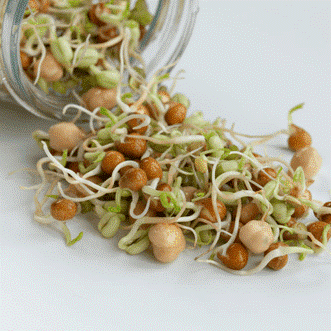 SUPER LITTLE GREENS CHUNKY MIX SPROUTS 200G