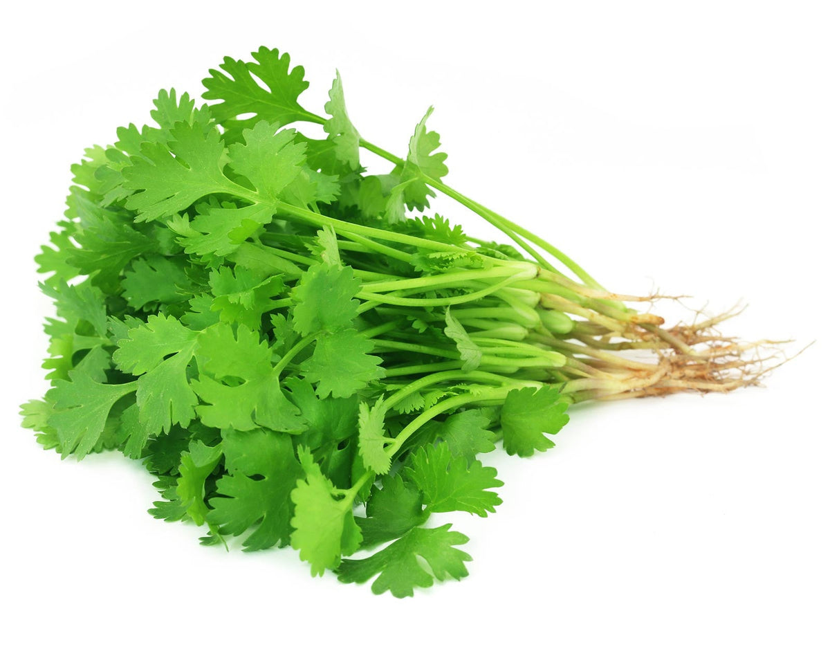 CORIANDER ORGANIC 100G BAG