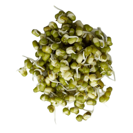 SUPER LITTLE GREENS MUNG BEAN SPROUTS 200G