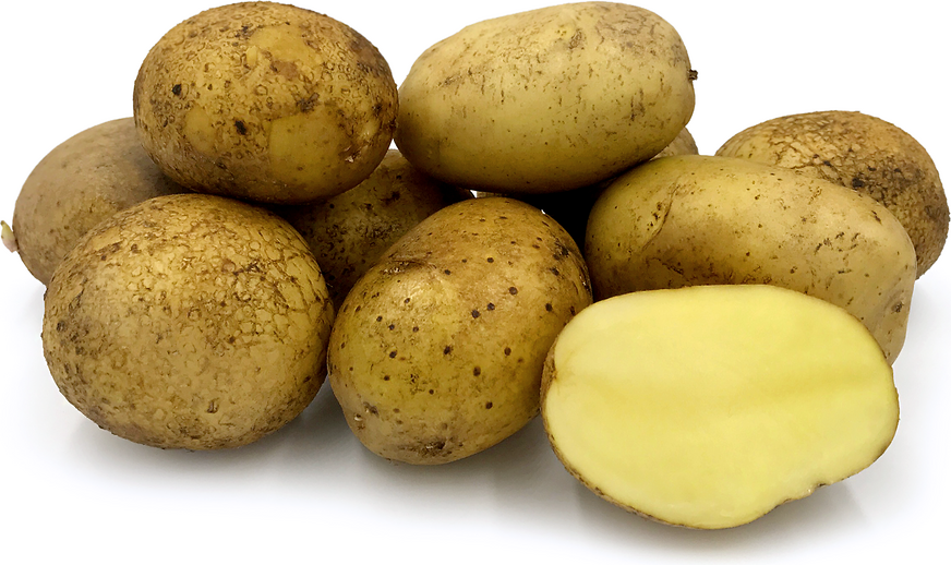 POTATO ROCKET ORGANIC 1KG