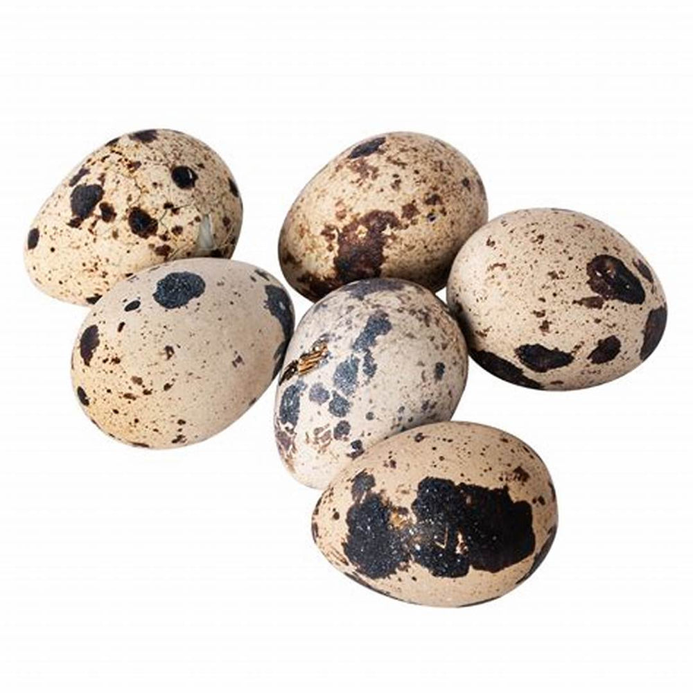 QUAIL EGGS PUNNET FREE RANGE 12PK