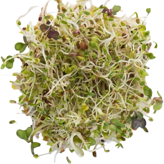 SUPER LITTLE GREENS VITALITY BLEND 75G