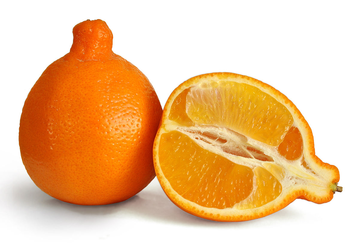 TANGELO SPRAY FREE LOCAL 1KG