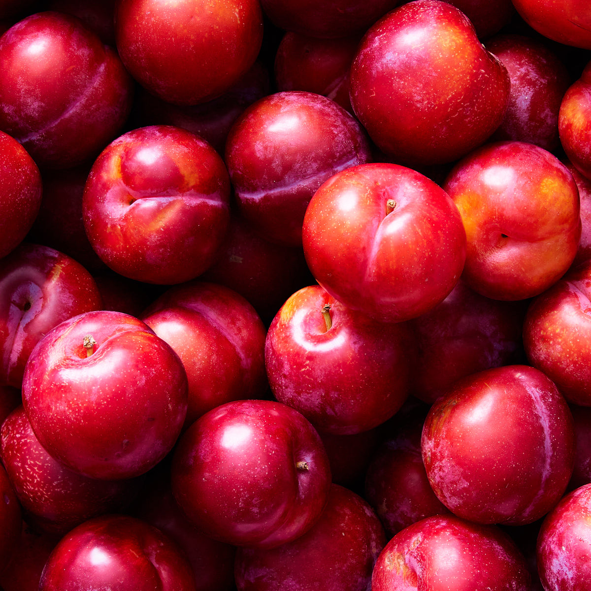 PLUM AMBER JEWEL ORGANIC 1KG