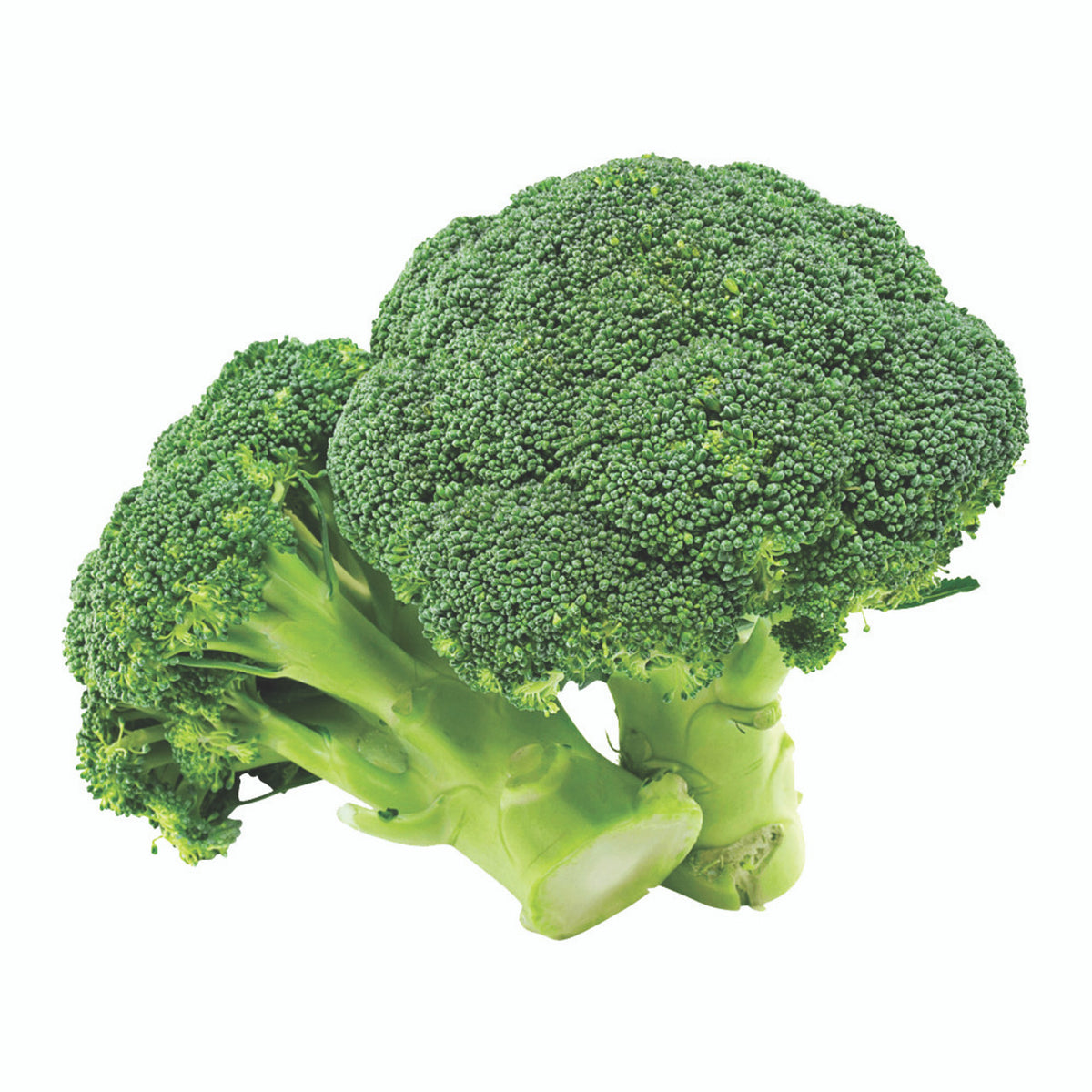 BROCCOLI ORGANIC EACH