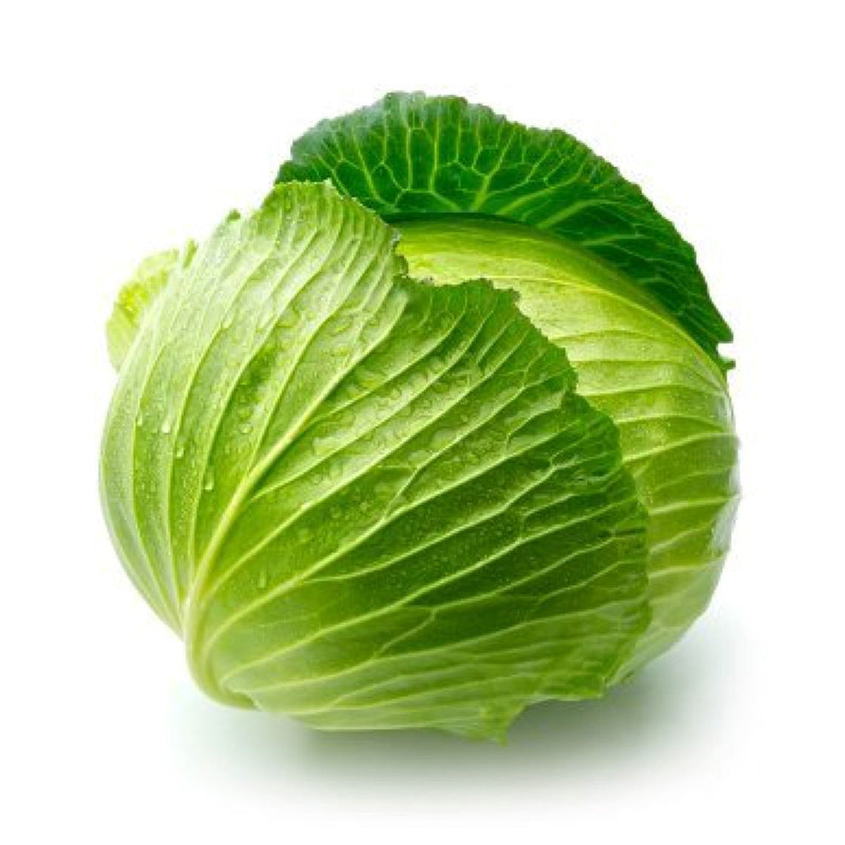 CABBAGE GREEN WHOLE CERTIFIED ORGANIC EACH