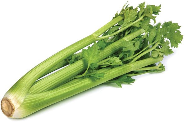 CELERY BUNCH CERTIFIED ORGANIC