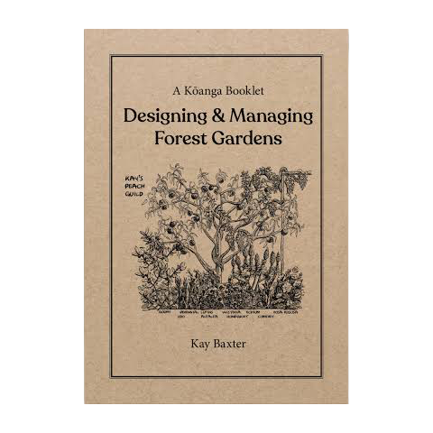 KOANGA PAPERBACK BOOK DESIGN YOUR OWN FOREST