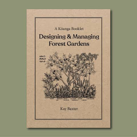KOANGA PAPERBACK BOOK DESIGN YOUR OWN FOREST