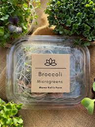 MAMA KALI BROCCOLI SPROUTS 50G