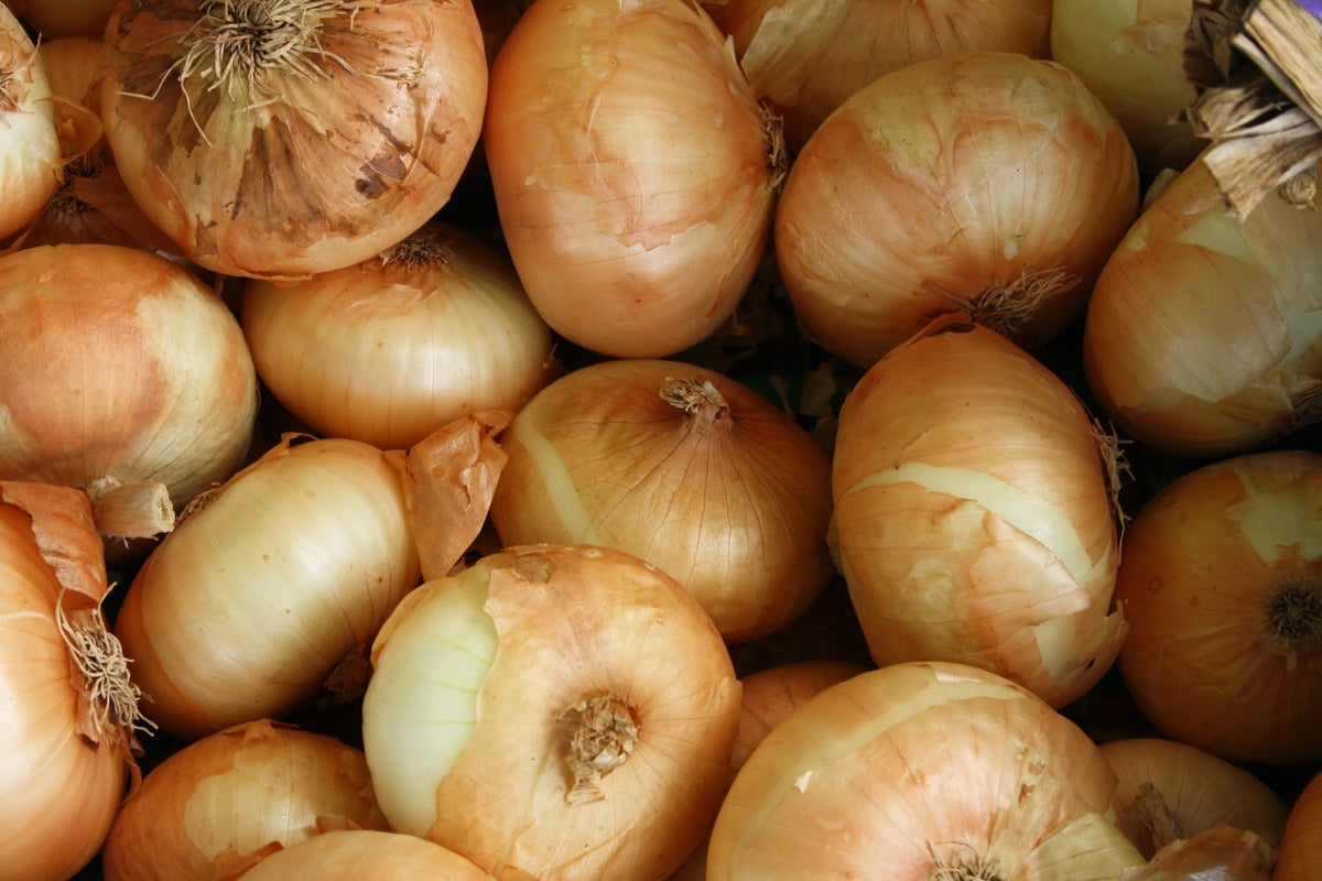 NZ BROWN ONIONS ORGANIC 1KG