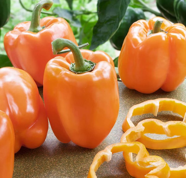 CAPSICUM ORANGE ORGANIC 1KG