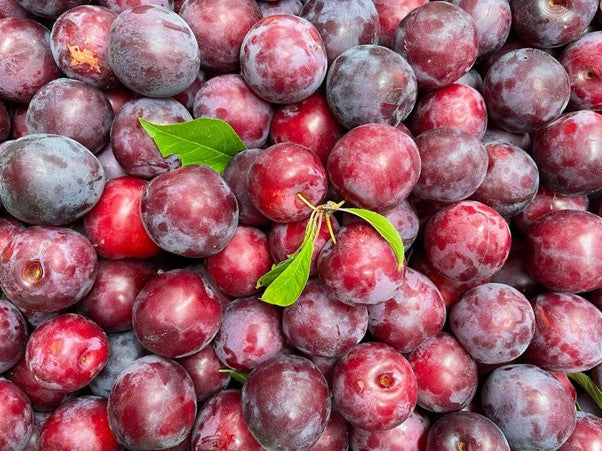 PLUMS FORTUNE ORGANIC 1KG