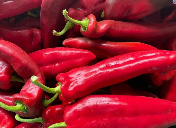 CAPSICUM RED SWEETPOINT 1KG
