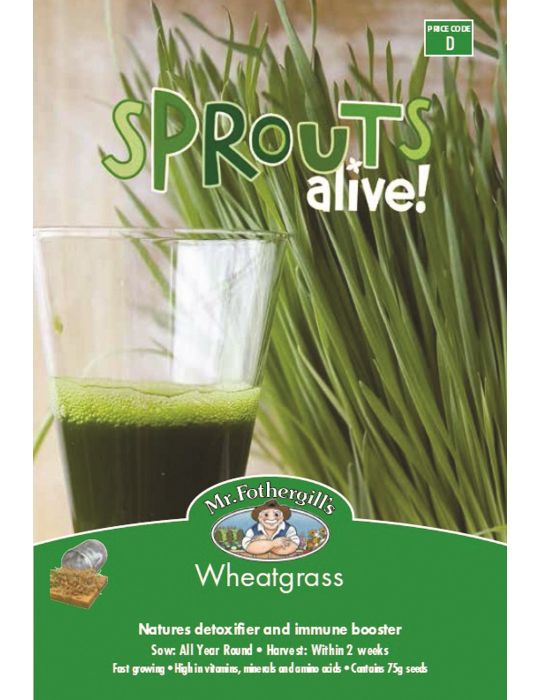 MR FOTHERGILLS WHEATGRASS SPROUTS SPROUTING SEEDS