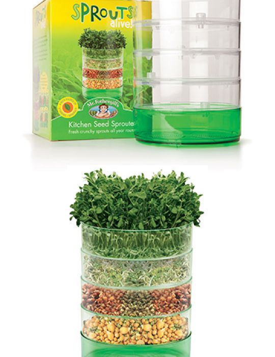 MR FOTHERGILLS KITCHEN SEED SPROUTER