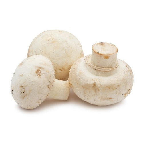 MUSHROOMS BUTTON