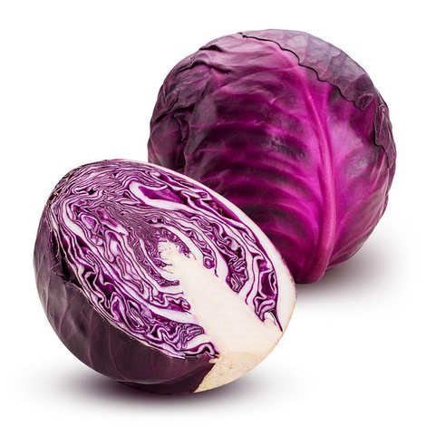 CABBAGE RED ORGANIC EACH